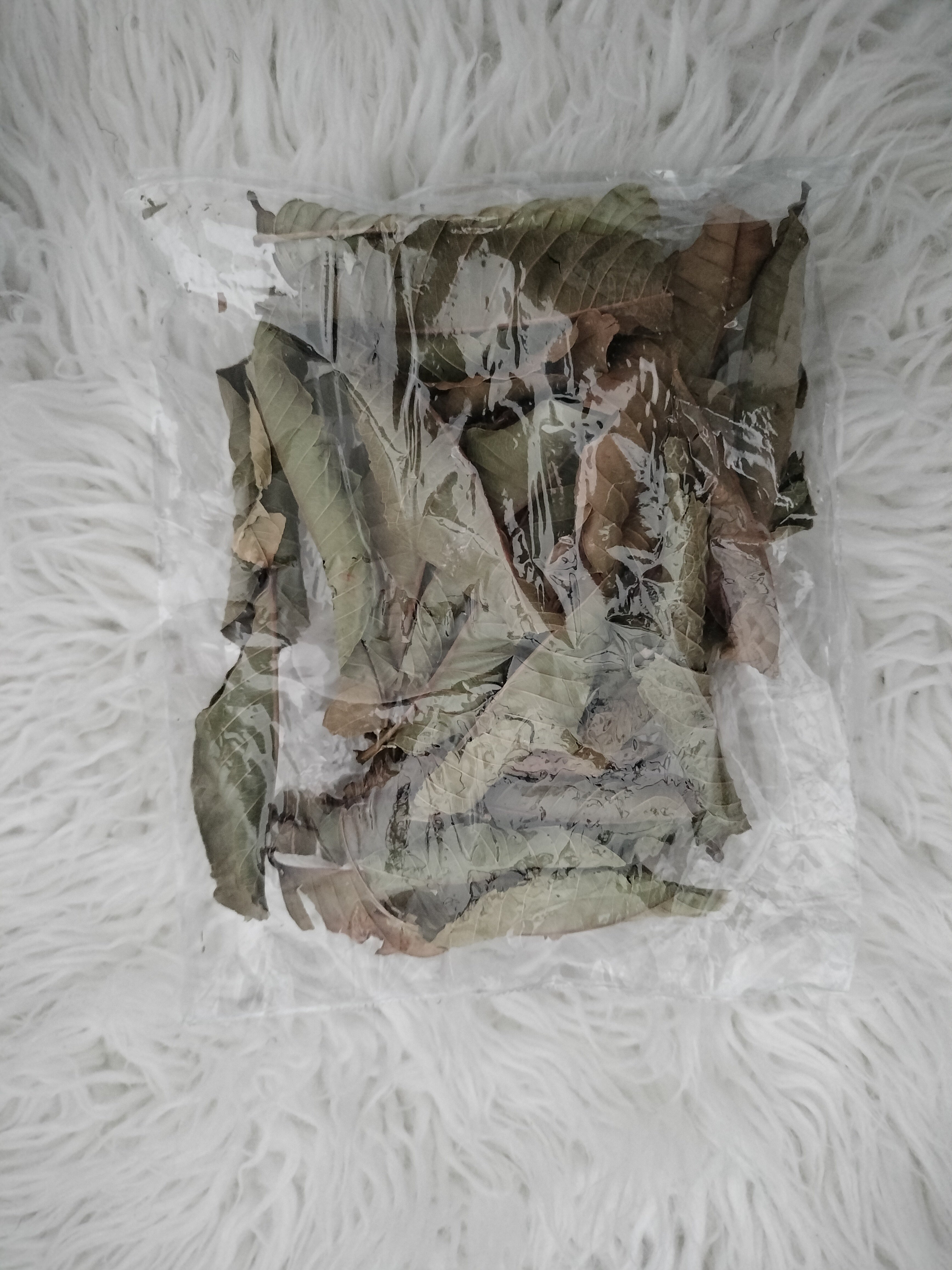 dried guava leaves 30 Ct