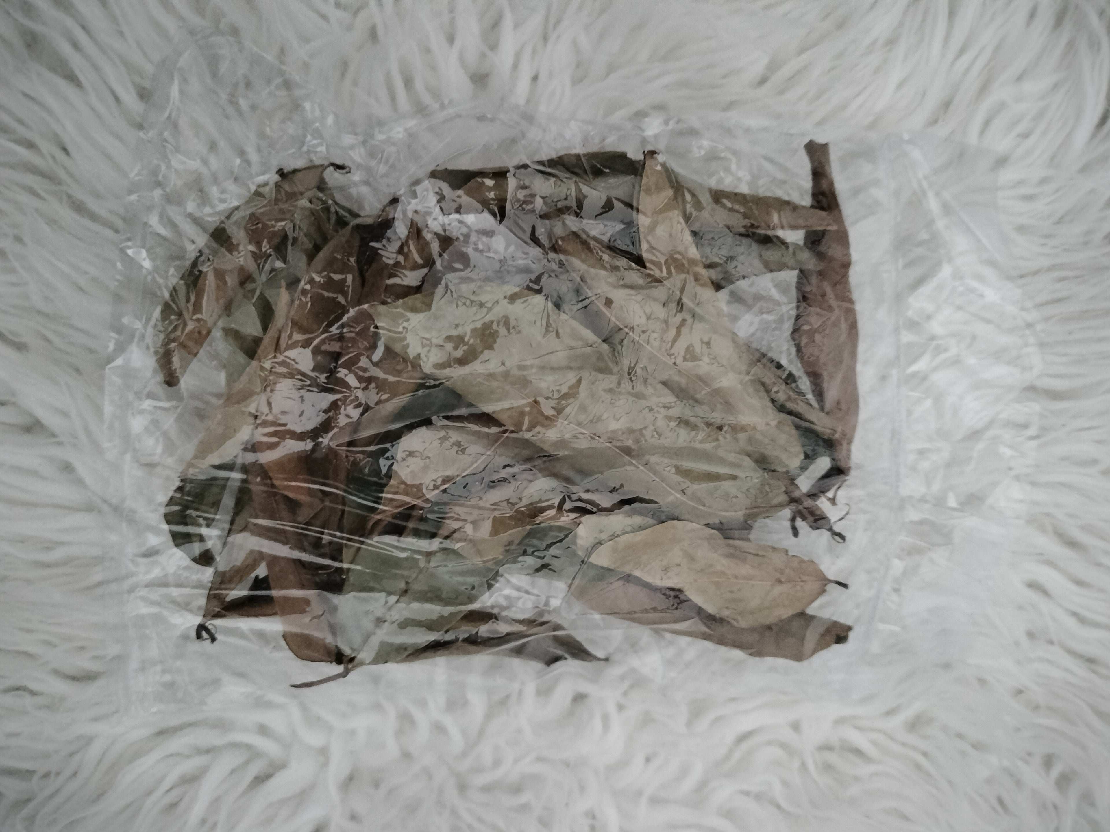 dried soursop leaves