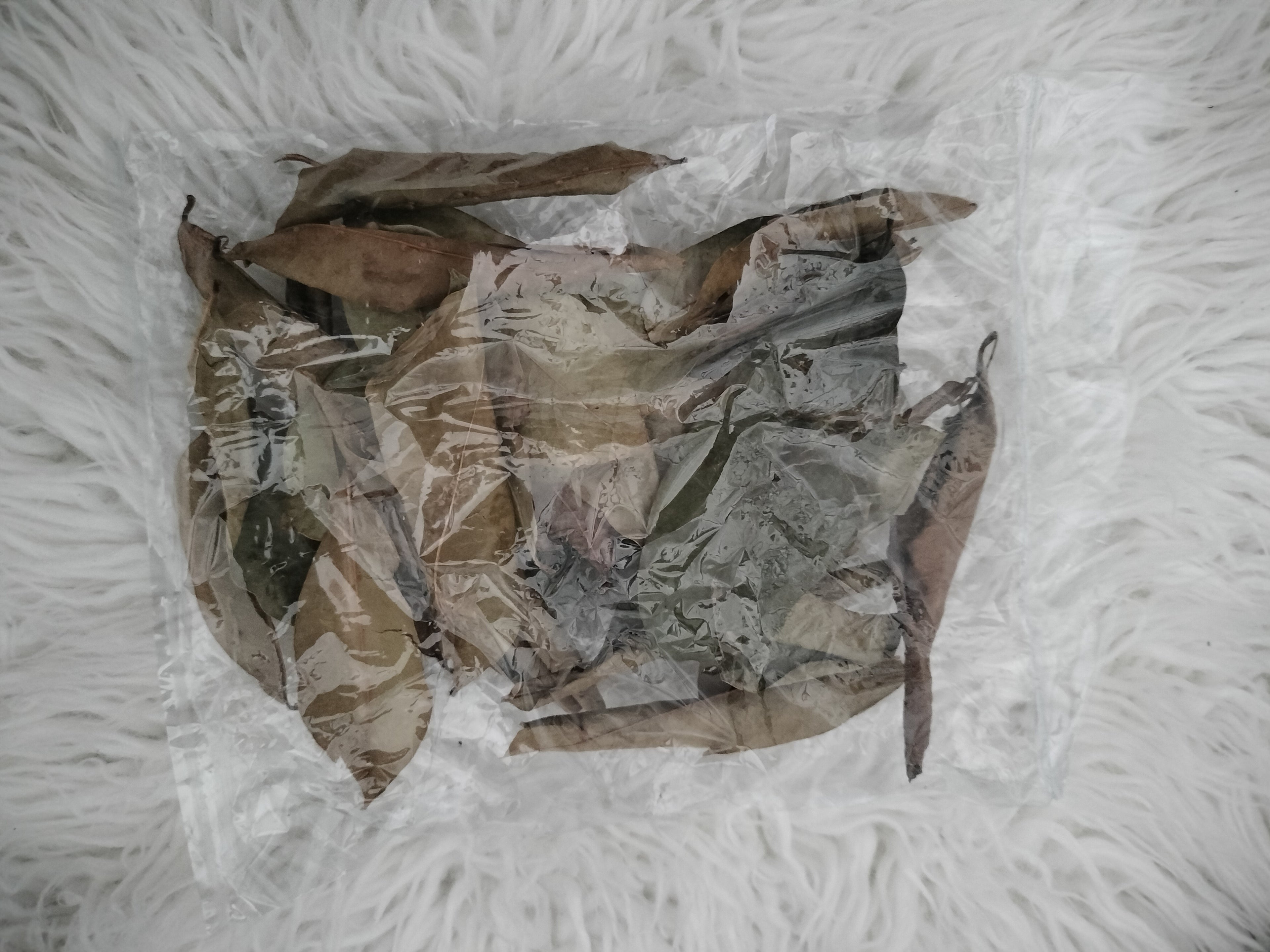 dried soursop leaves