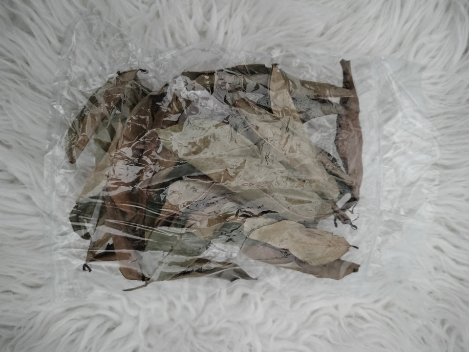 dried guava leaves 30 Ct