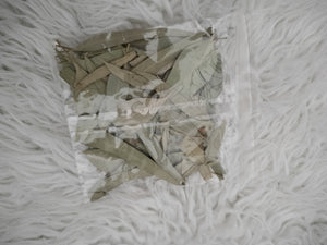 dried eucalyptus leaves